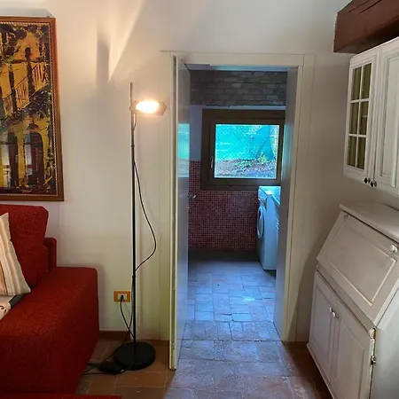 Villaluigia - Oasi Le Palme Padua