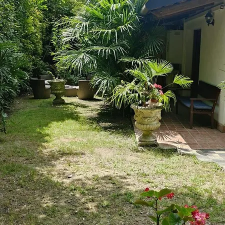 Villaluigia - Oasi Le Palme Lägenhet Padua