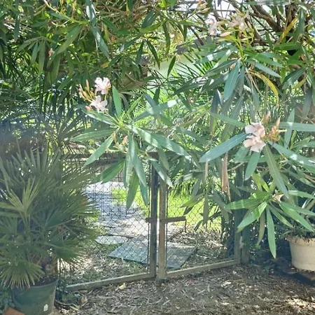Villaluigia - Oasi Le Palme Padua