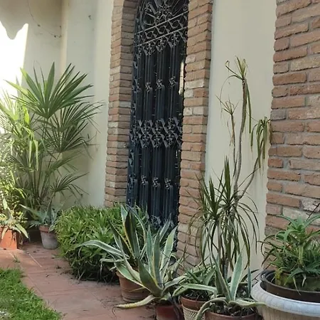 Villaluigia - Oasi Le Palme