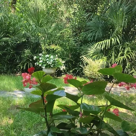 Lägenhet Villaluigia - Oasi Le Palme Padua