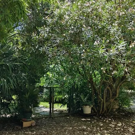 Villaluigia - Oasi Le Palme Lägenhet Padua