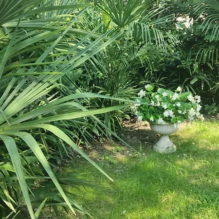 Lägenhet Villaluigia - Oasi Le Palme Padua