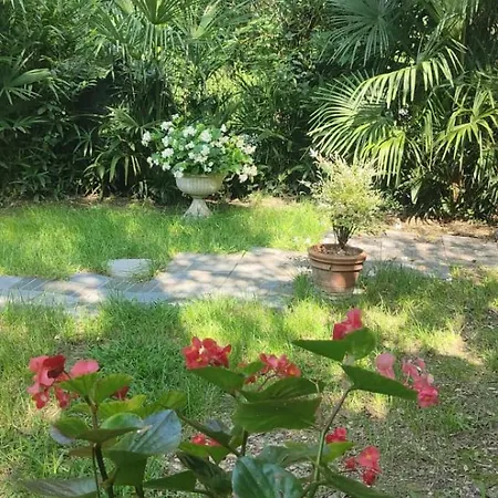 Villaluigia - Oasi Le Palme Padua