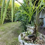 Villaluigia - Oasi Le Palme *
