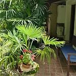Villaluigia - Oasi Le Palme Apartman *