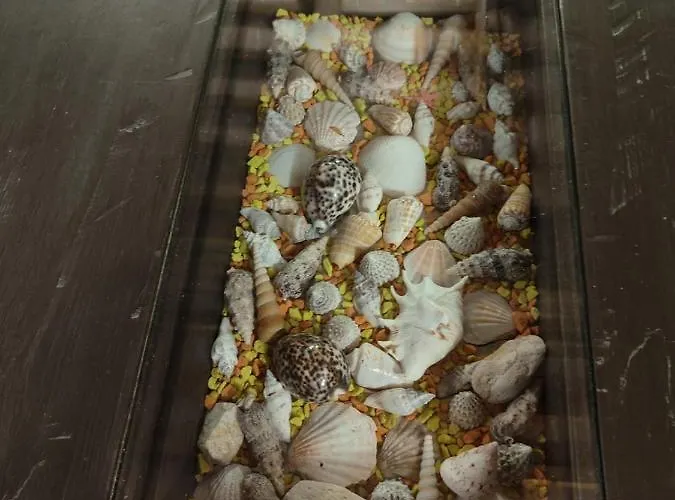 Villaluigia - Oasi Le Palme 파도바